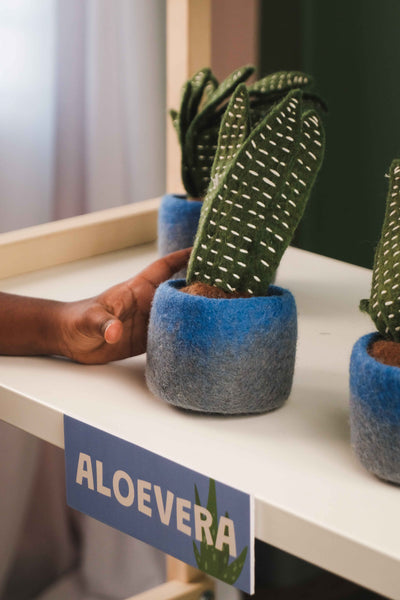 Ally the AloeVera