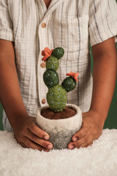 Cuzzi Cactus