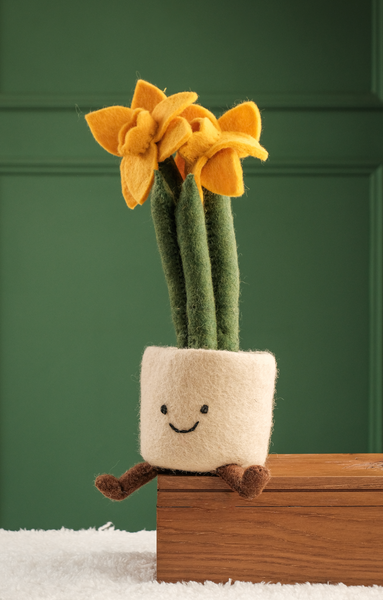 Dottie Daffodil
