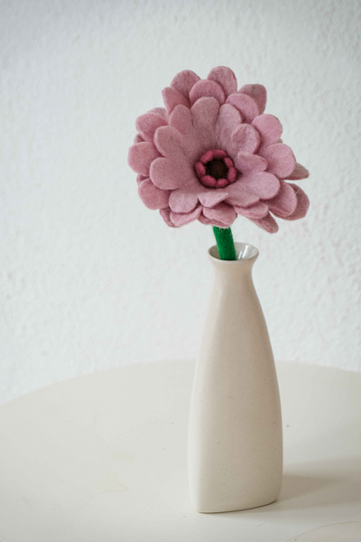 Gigi the Gerbera